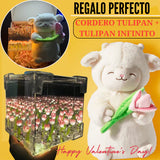 💗Peluche corderito Tulipán💗